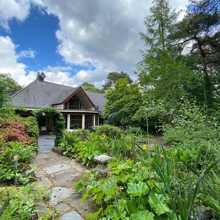 Sjieke Gezellige Villa In Het Bos Lieshout Экстерьер фото