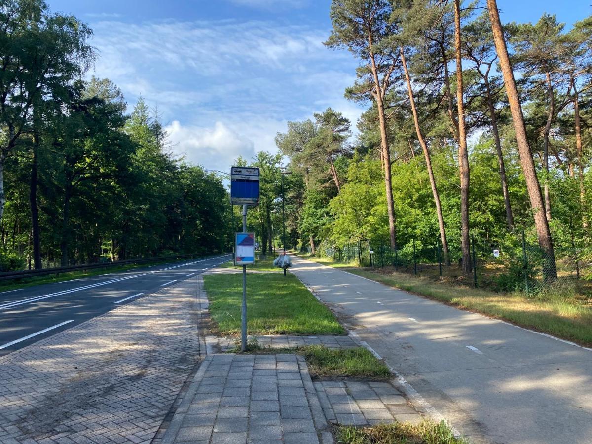 Sjieke Gezellige Villa In Het Bos Lieshout Экстерьер фото