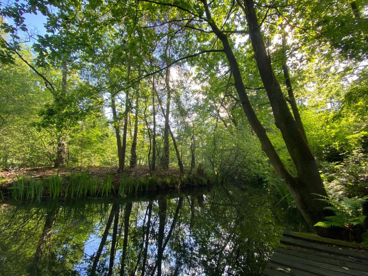 Sjieke Gezellige Villa In Het Bos Lieshout Экстерьер фото