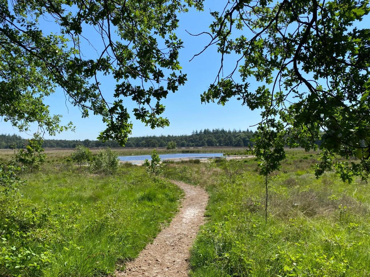 Sjieke Gezellige Villa In Het Bos Lieshout Экстерьер фото